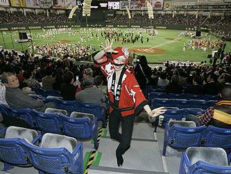 Japanese Baseball Fans: Passion And Traditions