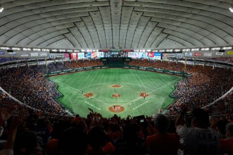 Japanese Baseball Game: Experience And Excitement